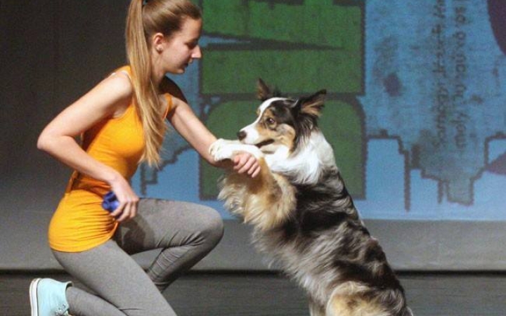 Fejér Megyei Diáknapok - Megarendezvény ígérkezik