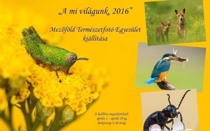 „A mi világunk 2016” - A Mezőföld Természetfotósok szemével