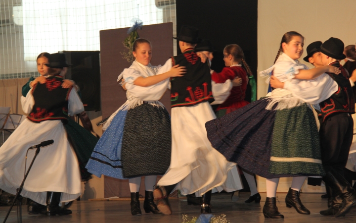 XX. Méta fesztiváli sikerek