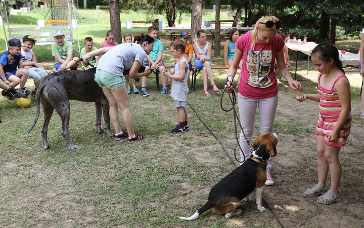 A felelős állattartásért