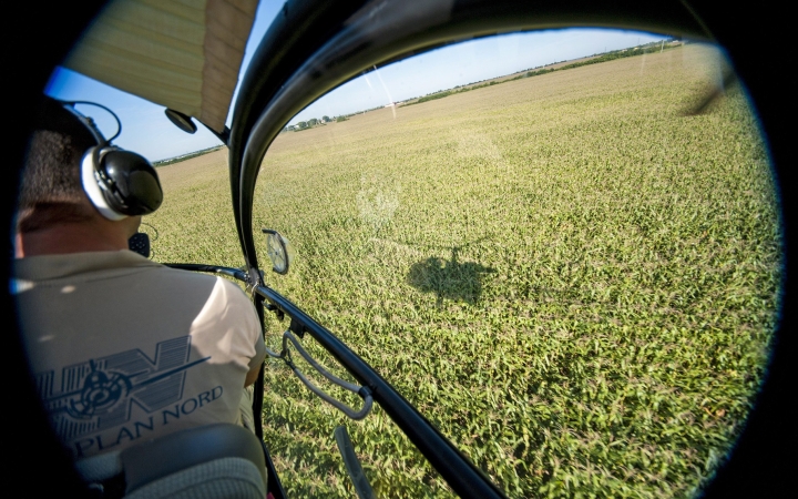 Helikopterről térképezik a parlagfüvet