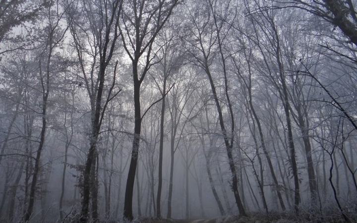 Heti meteo: viharos szél és lehűlés