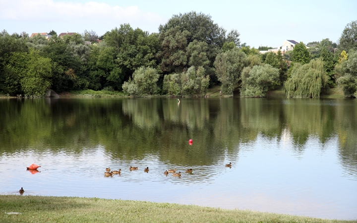 Örökítsd meg a Szalki- szigetet! Fotópályázati felhívás