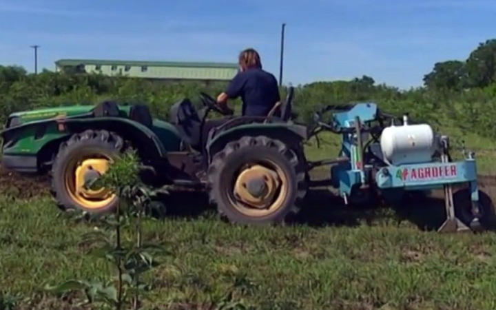 Kertészeti kiállítás Nagyvenyimen