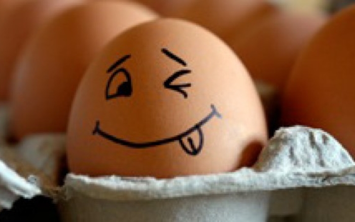 Szalmonella - A nyár egyik legnagyobb mumusa