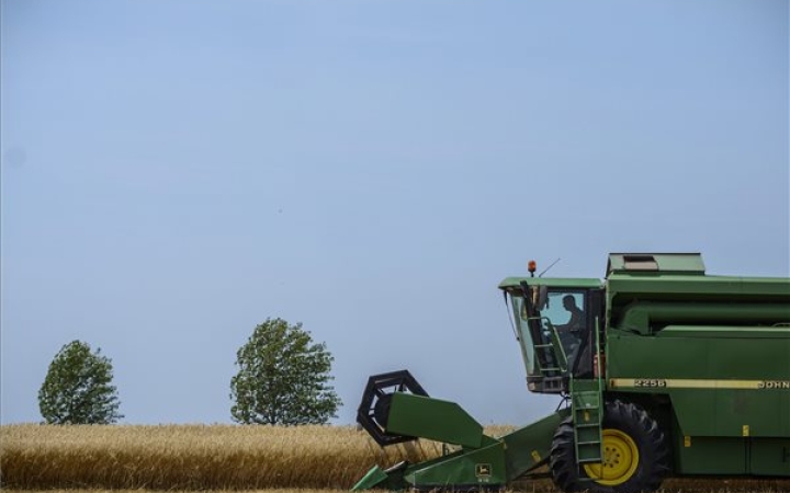 Jó a város környéki gabonatermés