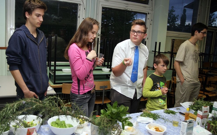 Foglalkoznak a továbbtanulással