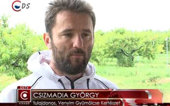 Embedded thumbnail for Közeledik az őszibarack szezonja