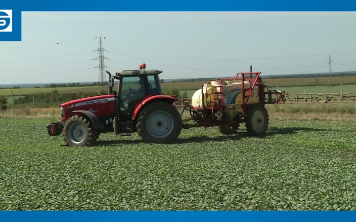 Embedded thumbnail for DSTV | Jó volt a termés a környéken