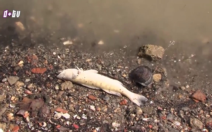 Embedded thumbnail for A nap legfontosabb eseményei - D+ TV Híradó