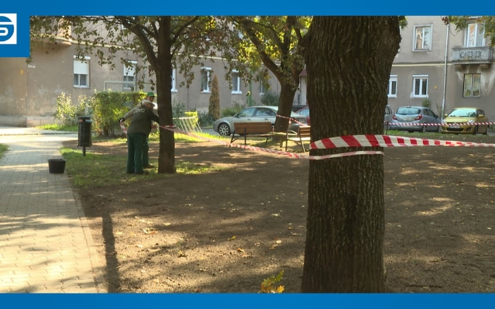 Embedded thumbnail for DSTV: füvesítés a Liszt Ferenc kertben