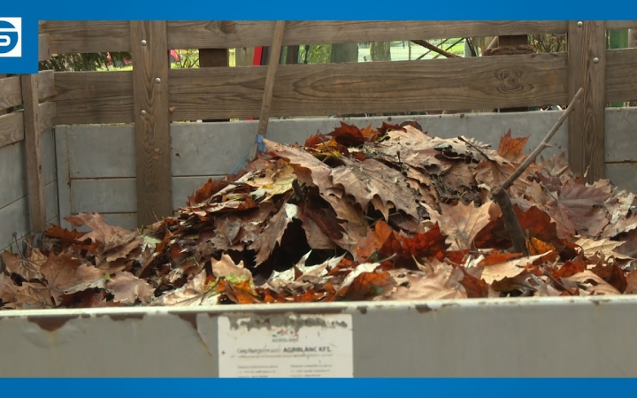 Embedded thumbnail for DSTV: levélözön, szedésdömping