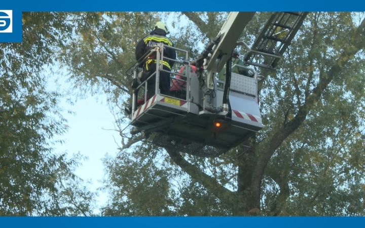 Embedded thumbnail for DSTV: erdészeti munkák a Szalki-szigeten