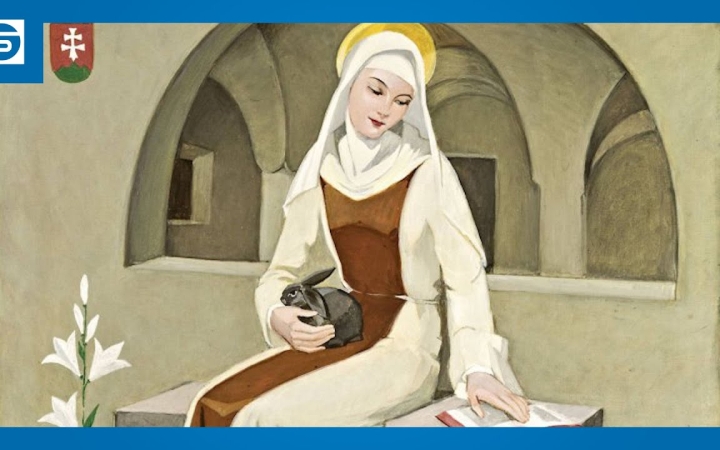 Embedded thumbnail for DSTV: a szentté válás útja