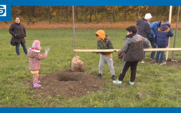 Embedded thumbnail for DSTV: boldog születésnapi faültetés