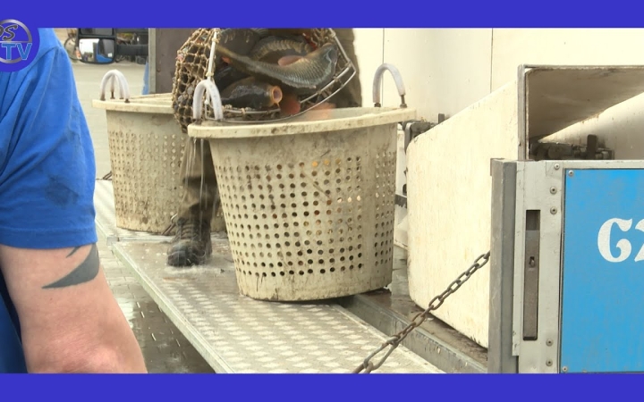 Embedded thumbnail for DSTV: haltelepítéssel várták a tavaszt