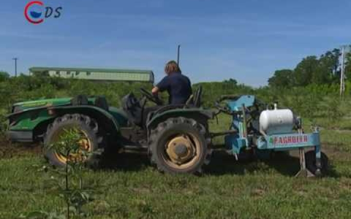 Embedded thumbnail for Kertészeti kiállítás Nagyvenyimen