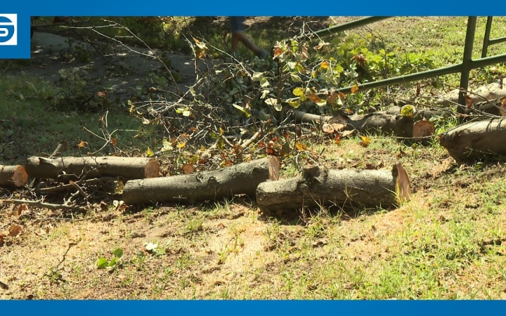 Embedded thumbnail for DSTV: viharkárok után