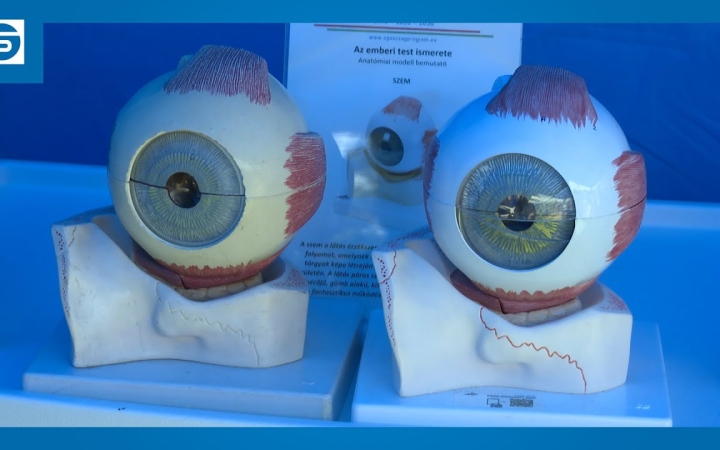 Embedded thumbnail for DSTV: egészségnap a Duna Plazmával a Városháza téren