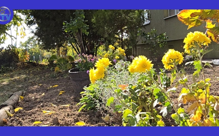 Embedded thumbnail for DSTV: élő példa a szépséges kiskertre