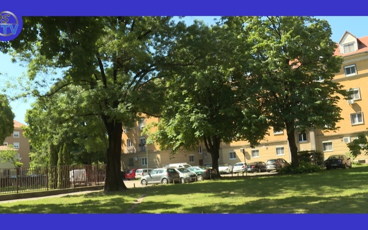 Embedded thumbnail for Digitális fakataszter készül a városban – az első lépés a belvárosi fák felmérése