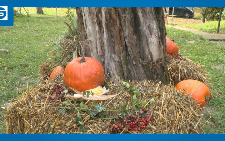 Embedded thumbnail for DSTV: tökfaragó versenyt hirdettek