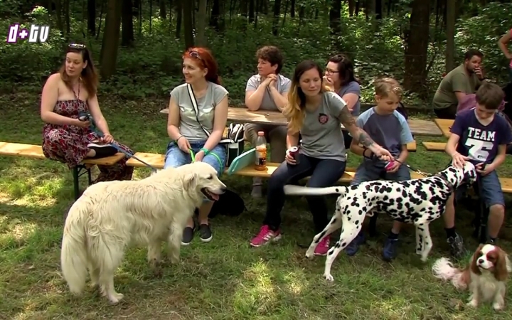 Embedded thumbnail for Négy év négylábon