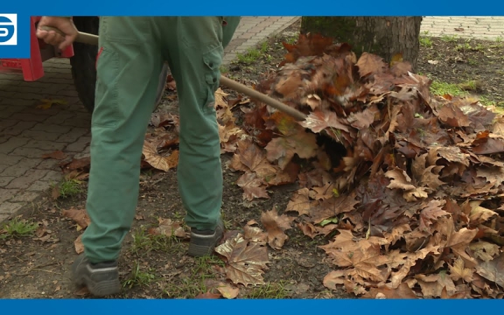 Embedded thumbnail for Közeledik az ősz, a legnagyobb feladat a lombgyűjtés lesz