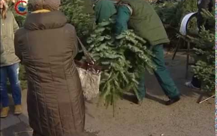 Embedded thumbnail for Fenyőfa kínálat