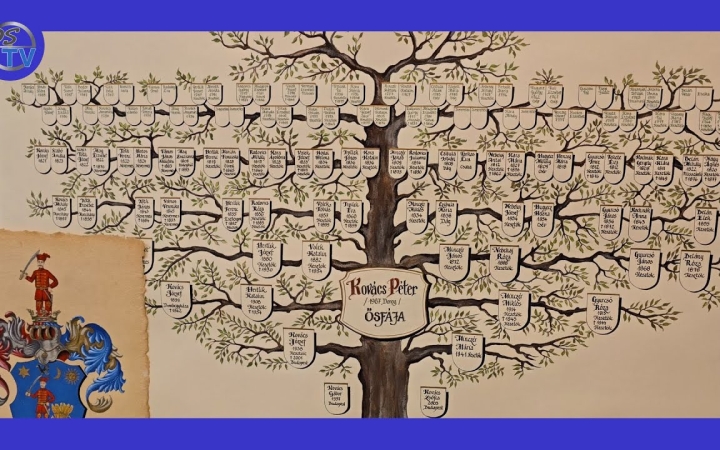 Embedded thumbnail for DSTV: a családfák varázsa a Szertelen Házban