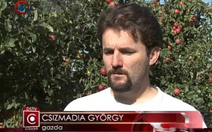 Embedded thumbnail for Rekord után visszaesés