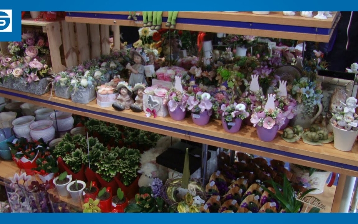 Embedded thumbnail for DSTV: pánik után, nőnap előtt a virágboltban