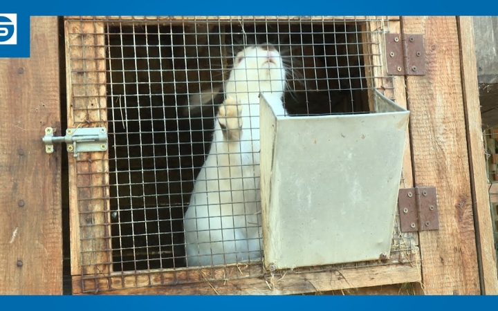 Embedded thumbnail for DSTV: új büszkeségek az arborétumban