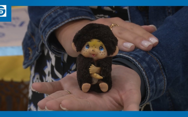 Embedded thumbnail for DSTV: különleges gyermeknap a plazmacentrumban