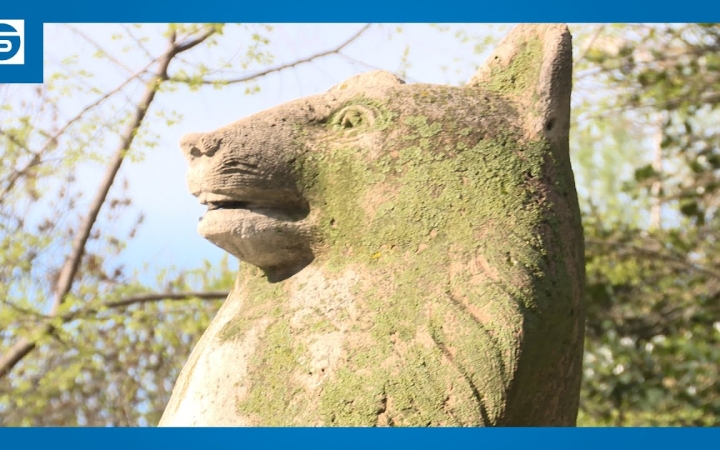 Embedded thumbnail for DSTV: az Öntelt mackó története