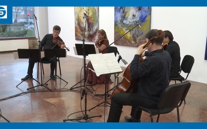 Embedded thumbnail for DSTV: Bánkövi-est a kortárs intézetben