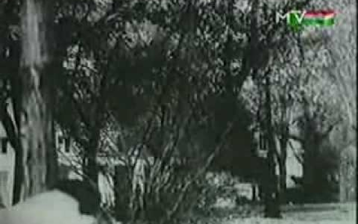 Embedded thumbnail for 1956: aztán csend lett…