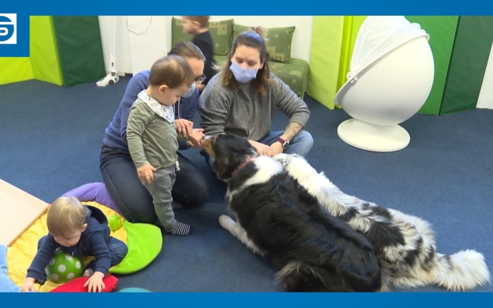 Embedded thumbnail for DSTV: kutyás készségfejlesztés