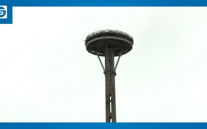 Embedded thumbnail for Új gólyafészek készült, és már leendő gazdájára vár az építmény
