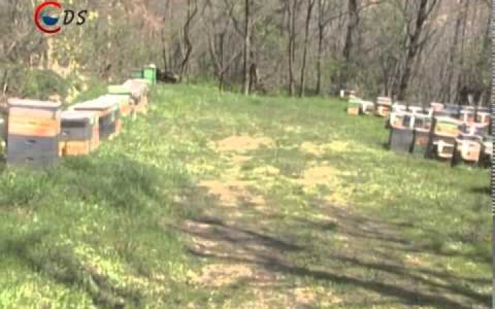 Embedded thumbnail for Mézre fel!