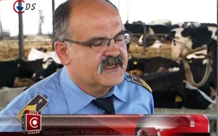 Embedded thumbnail for Állati hőség