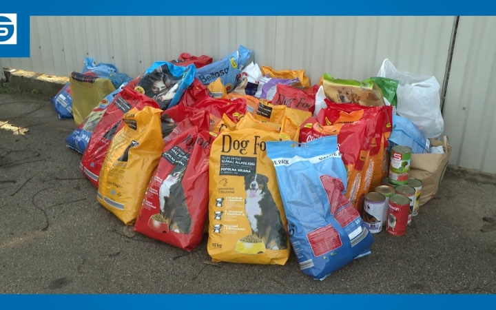 Embedded thumbnail for Egy tonna kutyatáp gyűlt össze a dunaújvárosiak jóvoltából