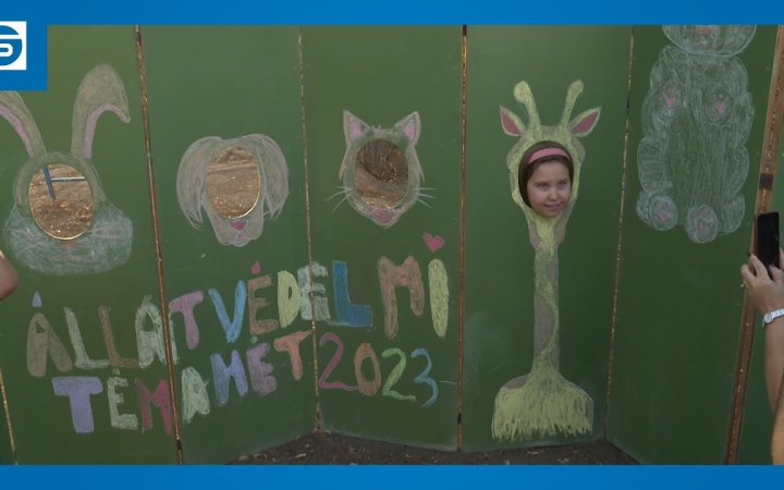 Embedded thumbnail for DSTV: családi nap a Petőfi iskolában