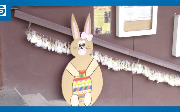 Embedded thumbnail for DSTV: készíts képet Harmatkával!