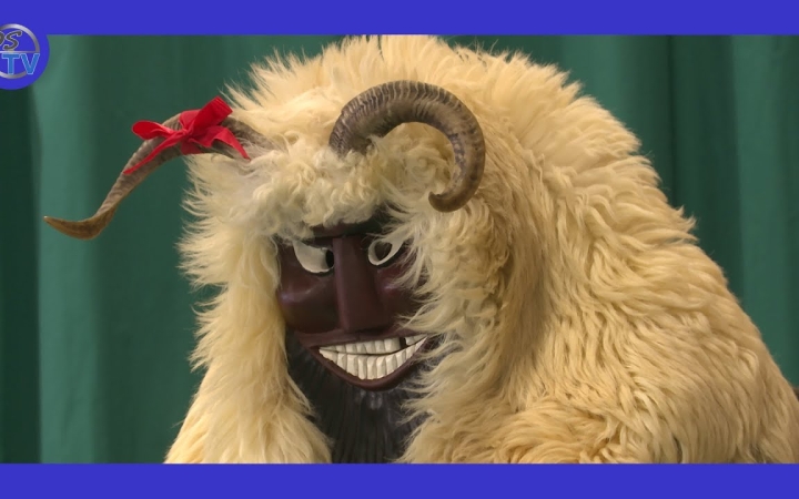 Embedded thumbnail for DSTV: busók jártak a Dózsa iskolában