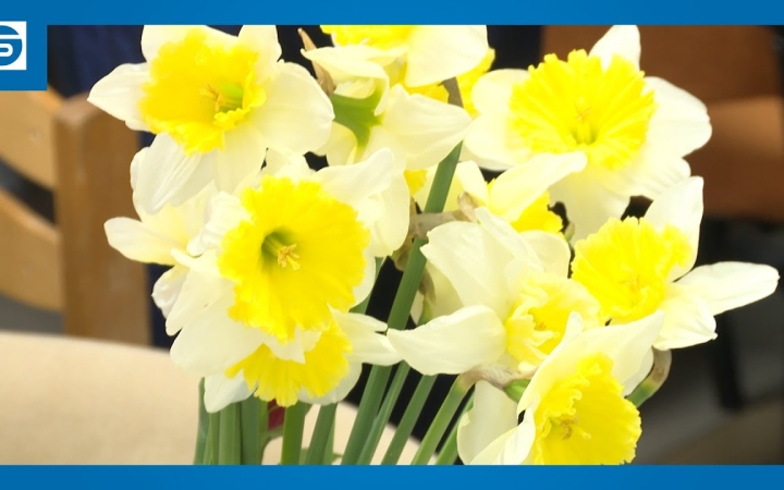 Embedded thumbnail for Virág, puszi, ölelés – jelképesen minden hölgyet köszöntöttek