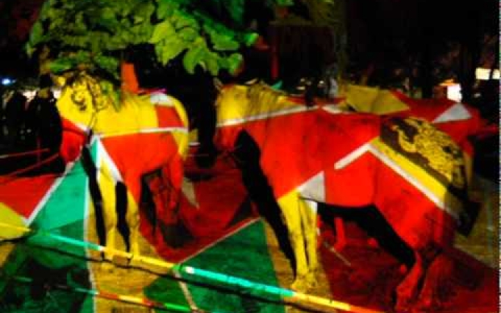 Embedded thumbnail for Megfesteni az éjszakát