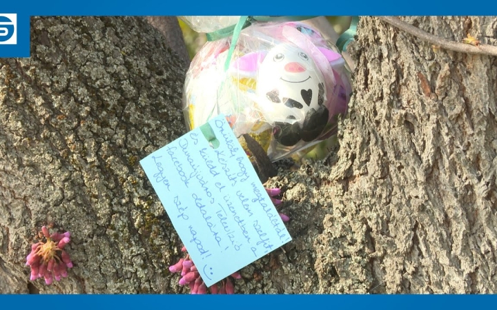 Embedded thumbnail for DSTV: húsvéti tojáskeresés a DO-val és a DSTV-vel (galériával)