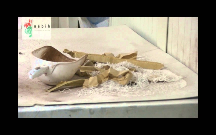 Embedded thumbnail for Döglődő egér a szaloncukor-masszában - Videó!