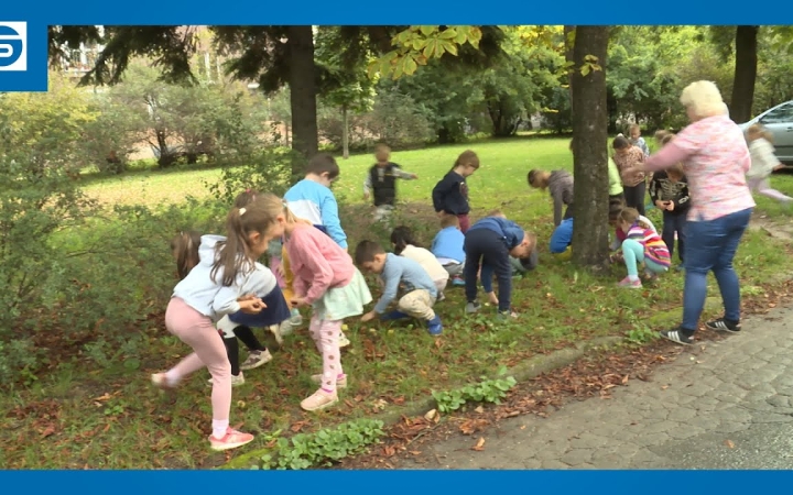 Embedded thumbnail for A környezetvédelmet nem lehet elég korán kezdeni (galériával)